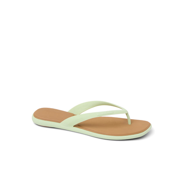WATER WILLOW MALIBU - GREEN